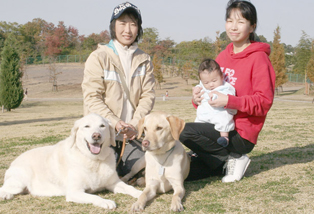 しっかりと役割を果たした引退犬の写真