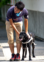 実際の道路で進むことや止まることを学びます