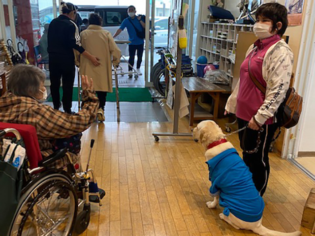 盲導犬トウハ